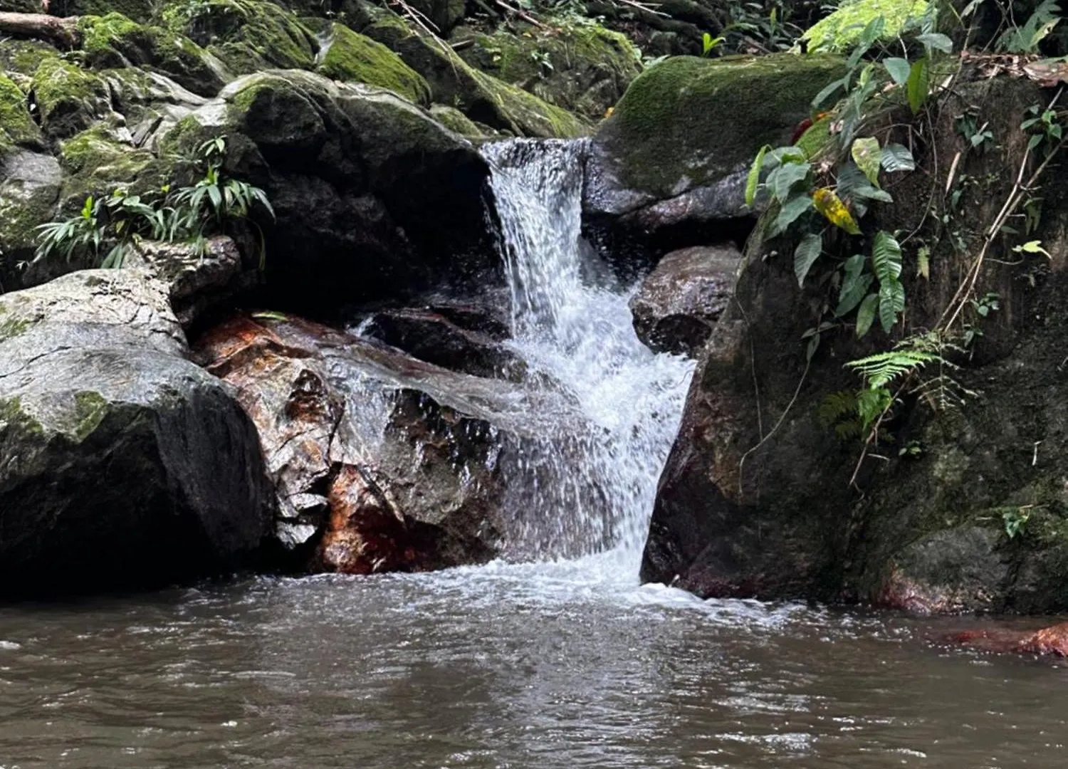 Casa Arimaca, Minca, Sierra Nevada De Santa Marta Villa Colombia