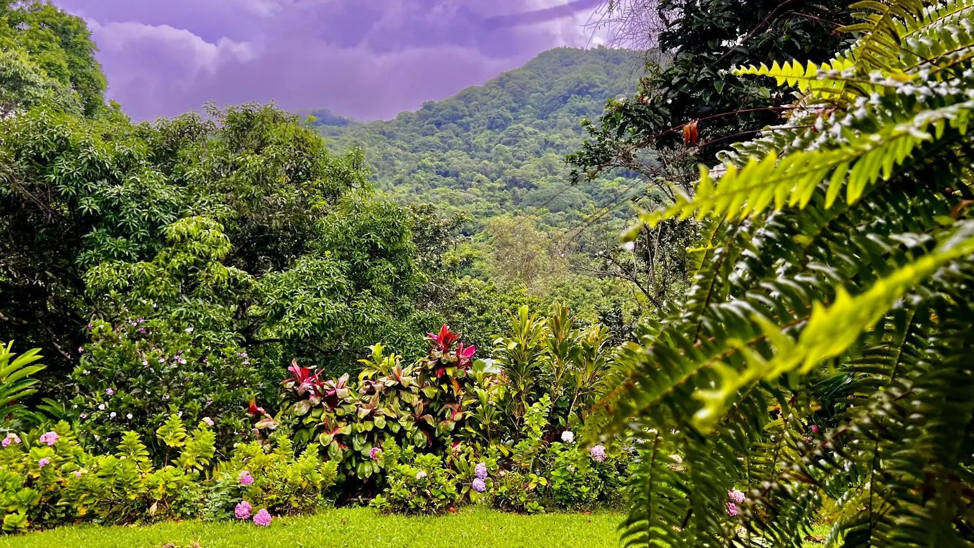Casa Arimaca, Minca, Sierra Nevada De Santa Marta Villa Colombia