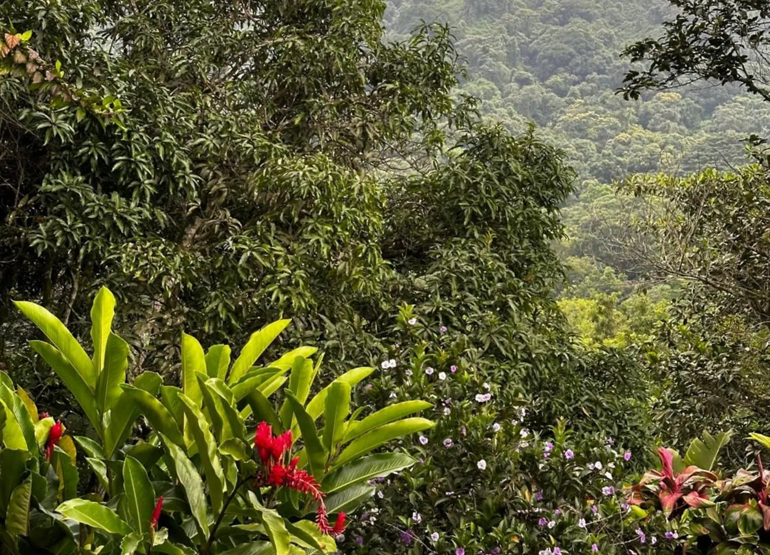 Casa Arimaca, Minca, Sierra Nevada De Santa Marta Villa 0*, Minca Colombia