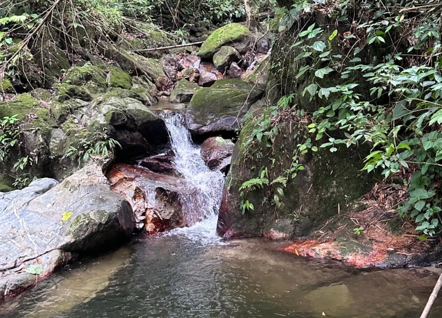 Vila Casa Arimaca, Minca, Sierra Nevada De Santa Marta Minca
