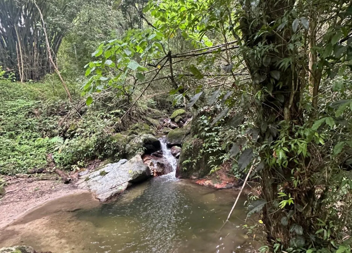 Vila Casa Arimaca, Minca, Sierra Nevada De Santa Marta Minca