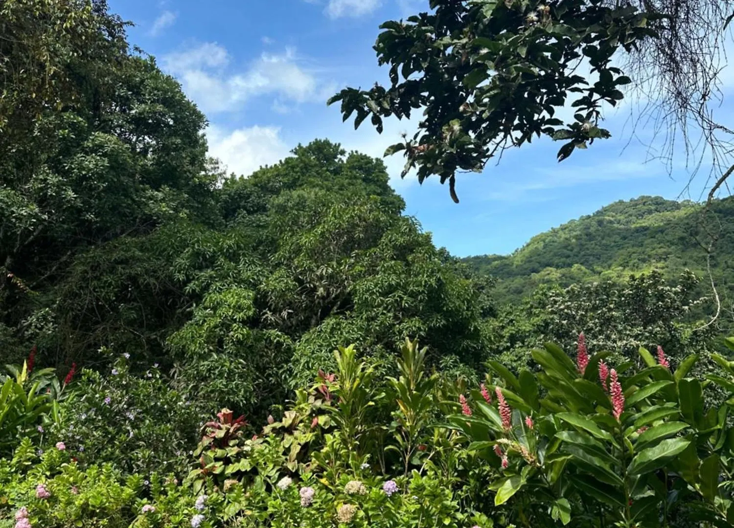 Vila Casa Arimaca, Minca, Sierra Nevada De Santa Marta Prázdninový dům