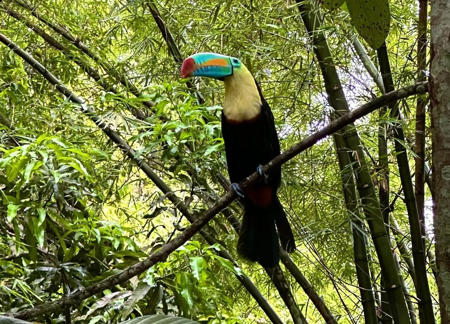Vila Casa Arimaca, Minca, Sierra Nevada De Santa Marta Kolumbie
